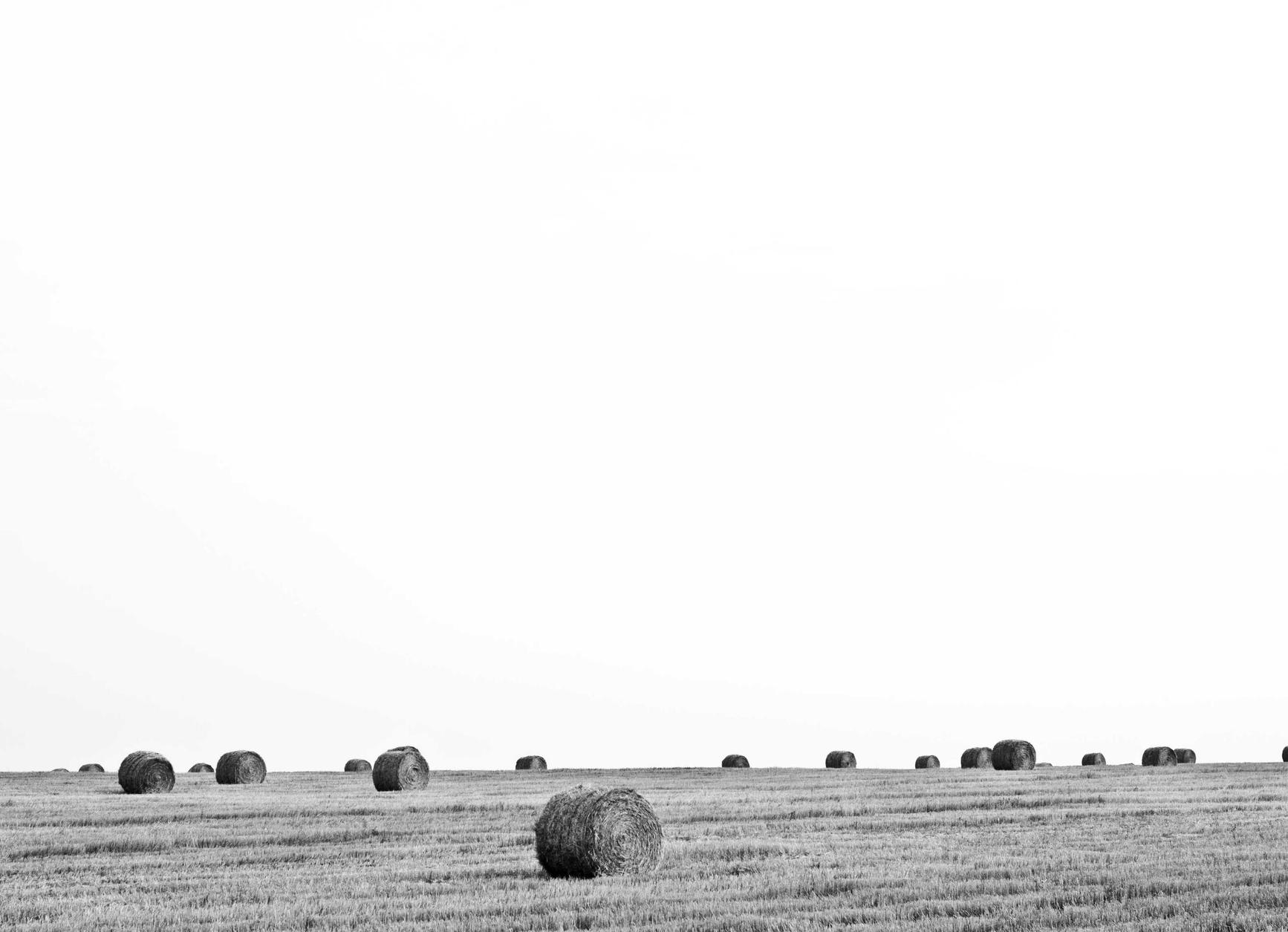 京东通信实名账号:学生购物平台代理