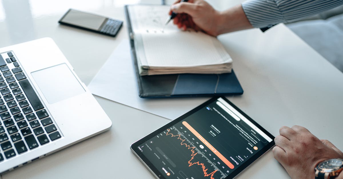 丽晶国际实名账号:舟山代理公司注册报价