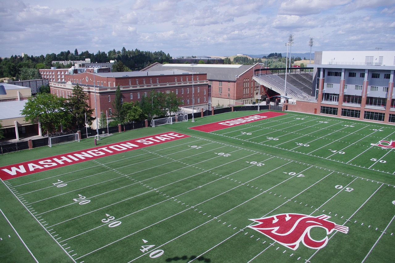 DDOS平台|最全手游App详情下载教程