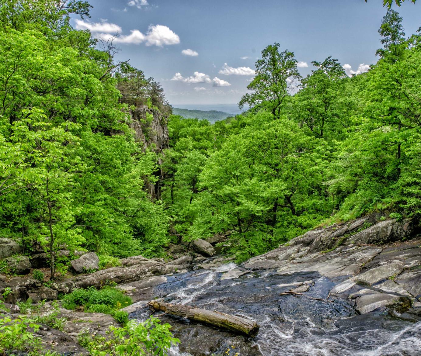 网站代实名实名账号：美团app详情下载教程安装到手机