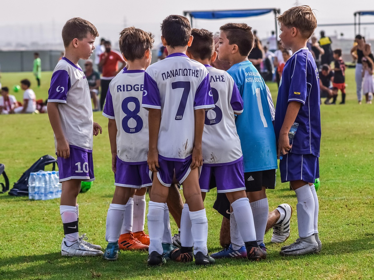 怎么找外汇平台开户账号