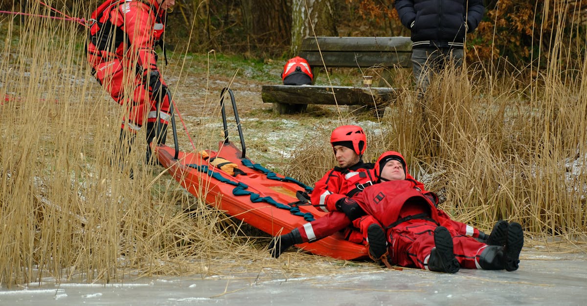 DDOS网页端平台|三秦巴士app详情下载教程