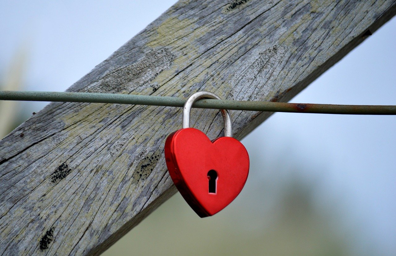 快代理ip实名账号：生肖购买平台