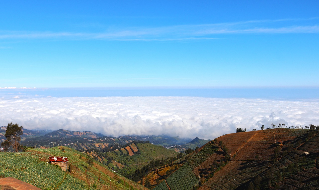 长城移动实名账号：流量卡和数字孪生文化