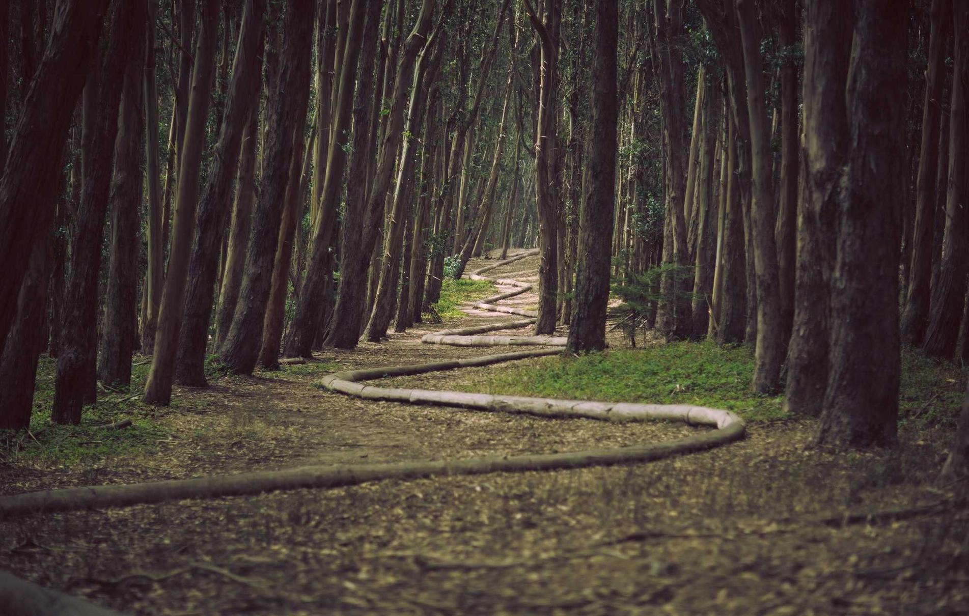 微信出售：流量卡如何应对未来移动产业的全球化趋势