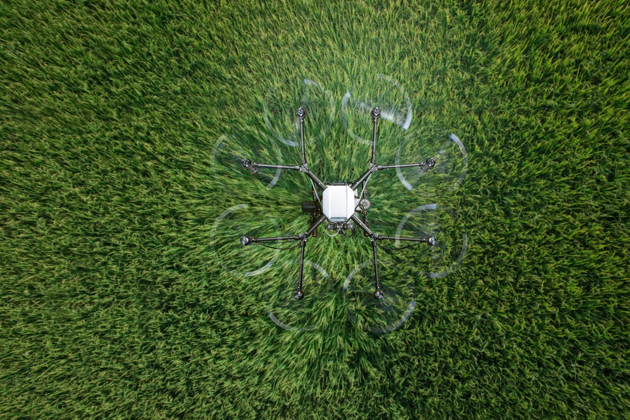 代理金融平台哪个好