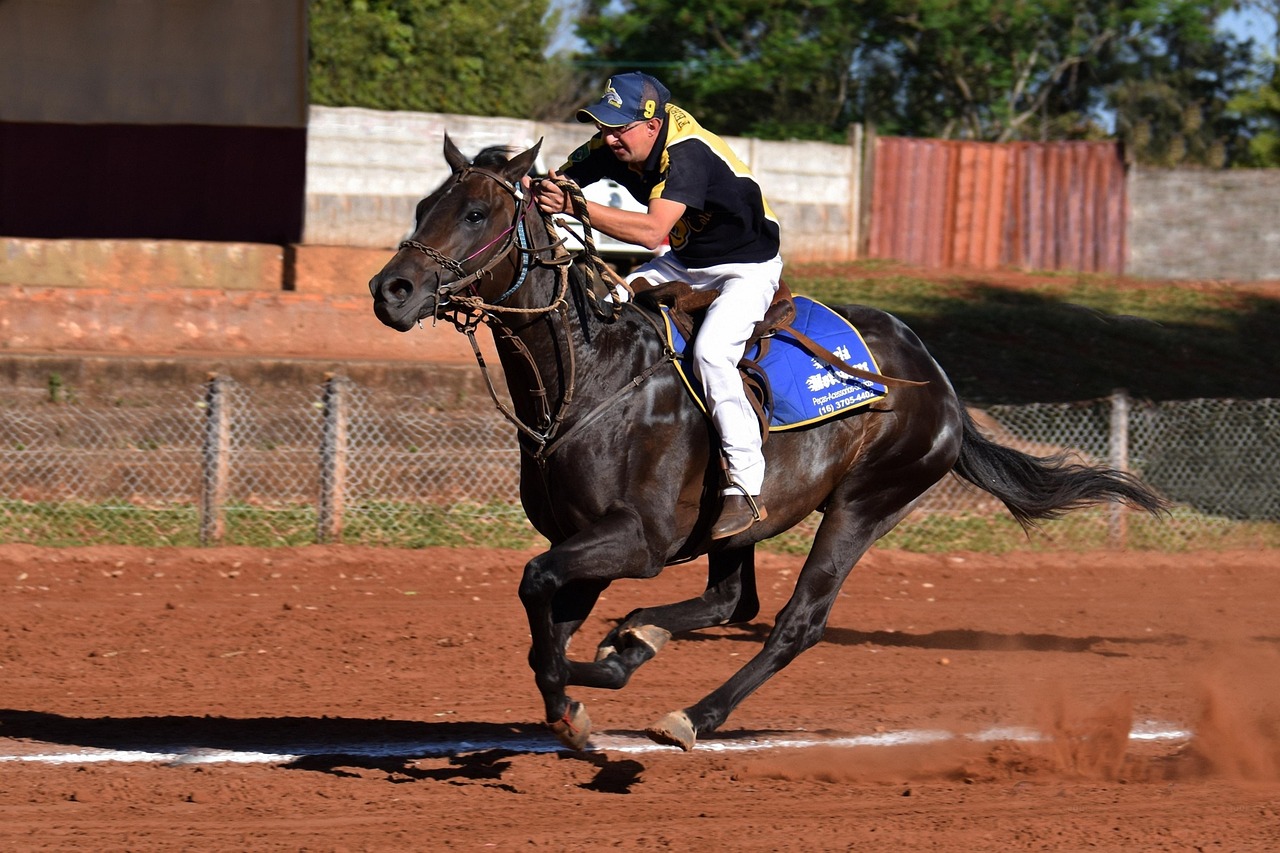 赫兹实名账号:江苏国际物流代理平台官网