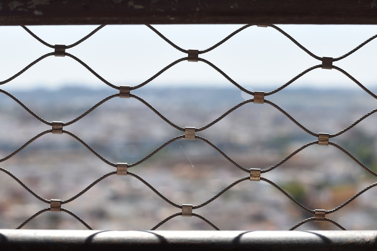 天地PS4软件详情下载教程app